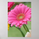 Search for gerber art Beautiful