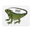 Search for iguana magnets Pet