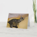 Search for blankets cards Tabby