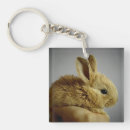 Search for bunny rabbit key rings Cute