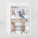 Search for blue jay cards Bird