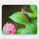 Search for morpho mousepads Flower