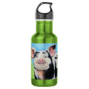 Search for piglet water bottles Pigs