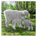 Search for lamb tiles Nature