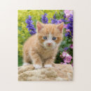 Search for cute ginger cat puzzles Pet