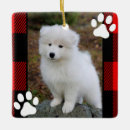 Search for cat photo christmas tree decorations Family pet