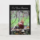 Search for sprouts cards Nature