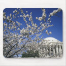 Search for cherry blossom mousepads Branch