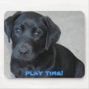 Search for black lab electronics Puppy