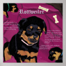 Search for rottweiler paintings posters Rottie