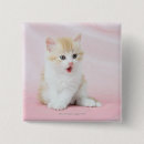 Search for studio shot badges Cute