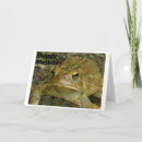 Search for toad cards Wild