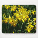 Search for cheery mousepads Nature