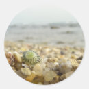 Search for macro shell Shells