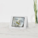 Search for white orchids cards Grief