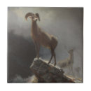 Search for albert tiles Bierstadt
