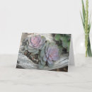 Search for succulent cards Southwest
