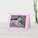 Search for strays cards Cats