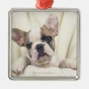 Search for english bulldog christmas tree decorations Pet