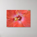 Search for tropical christmas art Nature