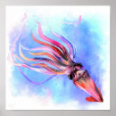 Search for squid posters Swimming