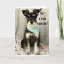 Search for schnauzer photography Co worker