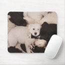 Search for sleeping puppy electronics Golden retriever