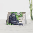 Search for funny monkey birthday cards Chimp