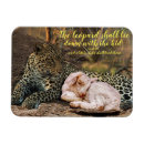 Search for shall magnets Bible verse