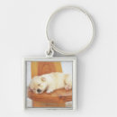 Search for curtain key rings Indoors