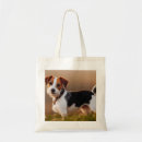 Search for jack russell bags Puppy