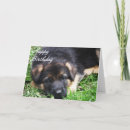 Search for sheperd cards Puppy