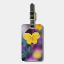 Search for fragile luggage tags Close up
