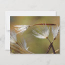 Search for spiritual condolences cards Grief