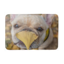 Search for french bulldog bath mats Canine