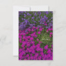 Search for pink icing note cards Floral