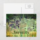 Search for serene photography Inspirational
