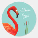 Search for thank you flamingo stickers Bird