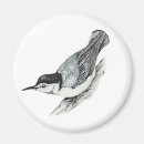 Search for breasted magnets White