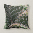 Search for cactus cushions Arizona