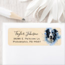 Search for border collie return address labels Dog