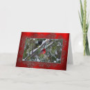 Search for cardinal cards Wildlife