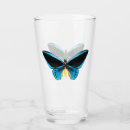 Search for fly drinkware Wings