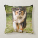 Search for australian shepherd cushions Animal