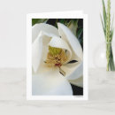 Search for phtography Photography