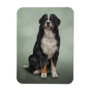 Search for clipart magnets Cute