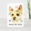 Search for yorkie cards Pet