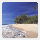 Search for fiji islands stickers Tropical