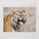 Search for dental tooth postcards Reminder