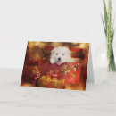 Search for samoyed puppy postcards Baby